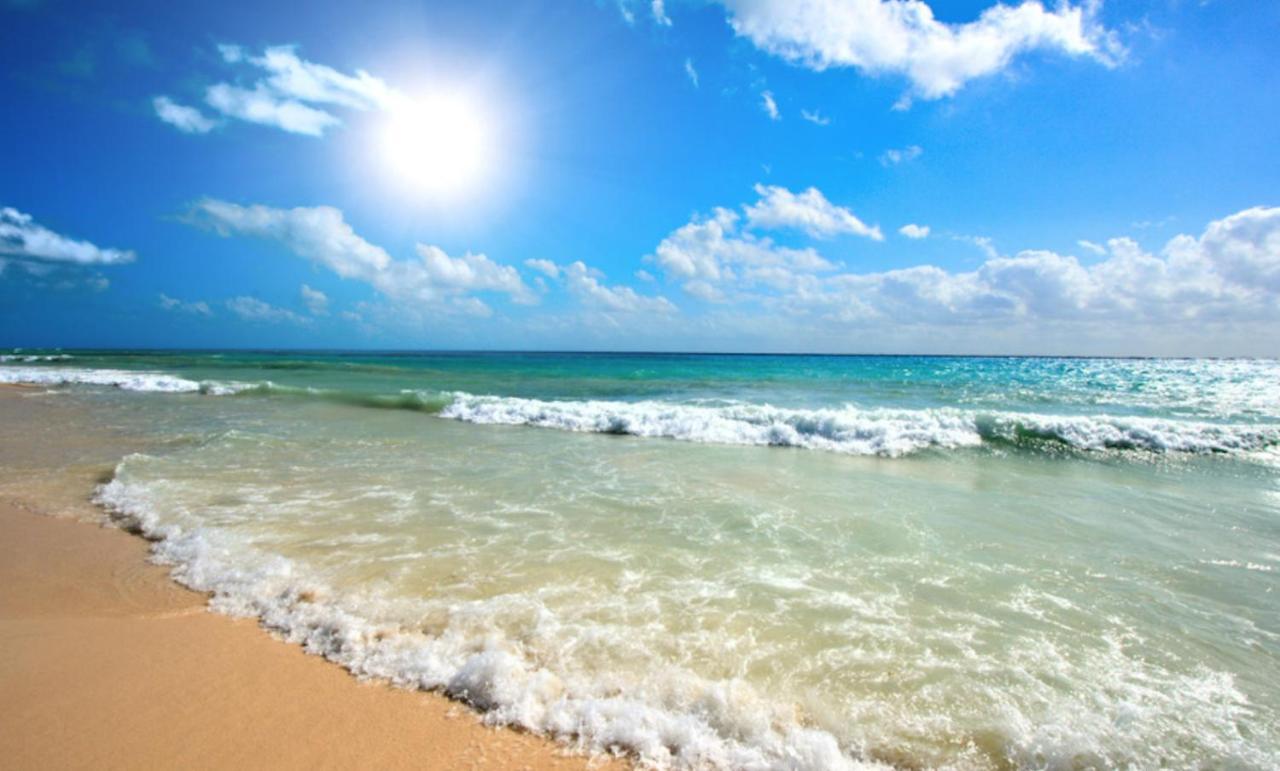 Anita C 19 Sunny Sunny Beach